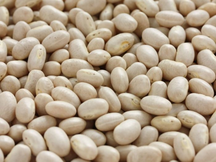 Navy bean nutrition facts