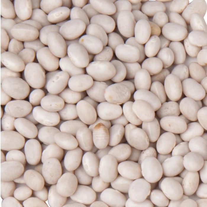 Navy bean nutrition facts