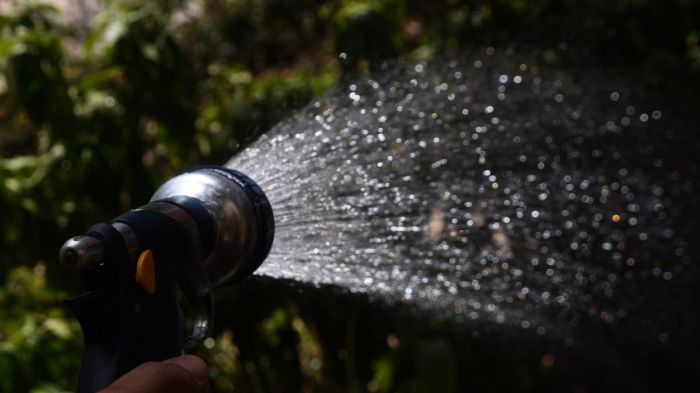 Plants watering drops gardener spraying vegetable shutterstock mp4