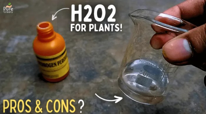 Can you water your plants with hydrogen peroxide