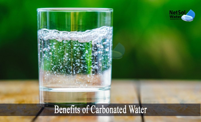 Can you water a plant with sparkling water