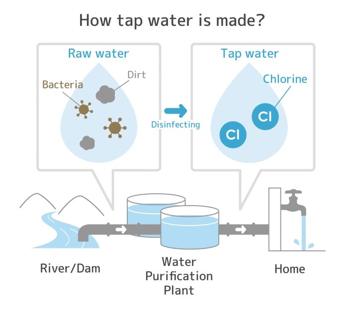 Can you use chlorine water on plants