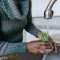 Can You Water Air Plants With Tap Water?