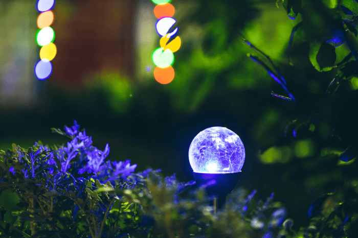 Can you water outdoor plants at night