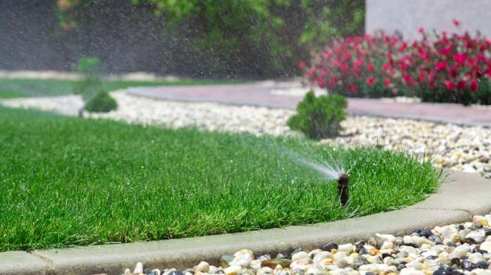 Can you water outdoor plants at night