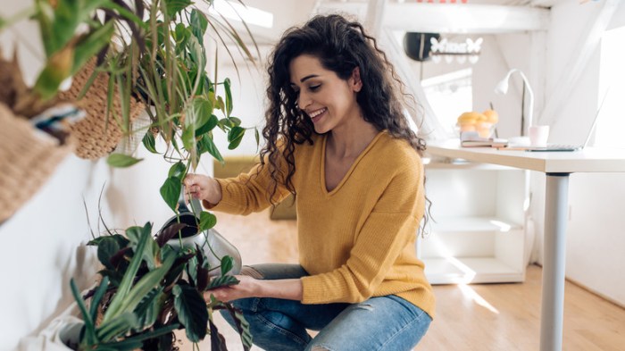 Can you use shower water to water plants