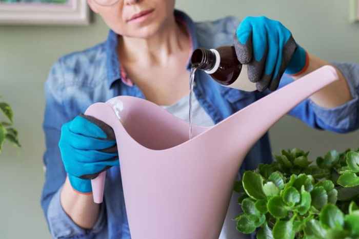 Can you water your plants with hydrogen peroxide