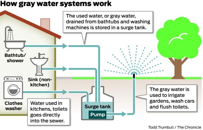 Can you water plants with grey water