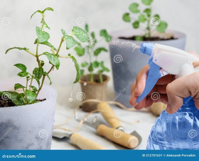 Can you spray plants with vinegar and water