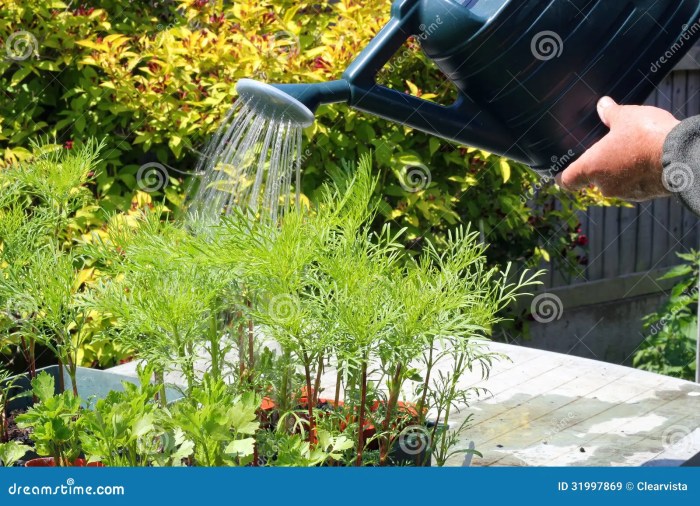 Can you water plants with hot tub water