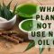 Can You Water Plants After Applying Neem Oil?